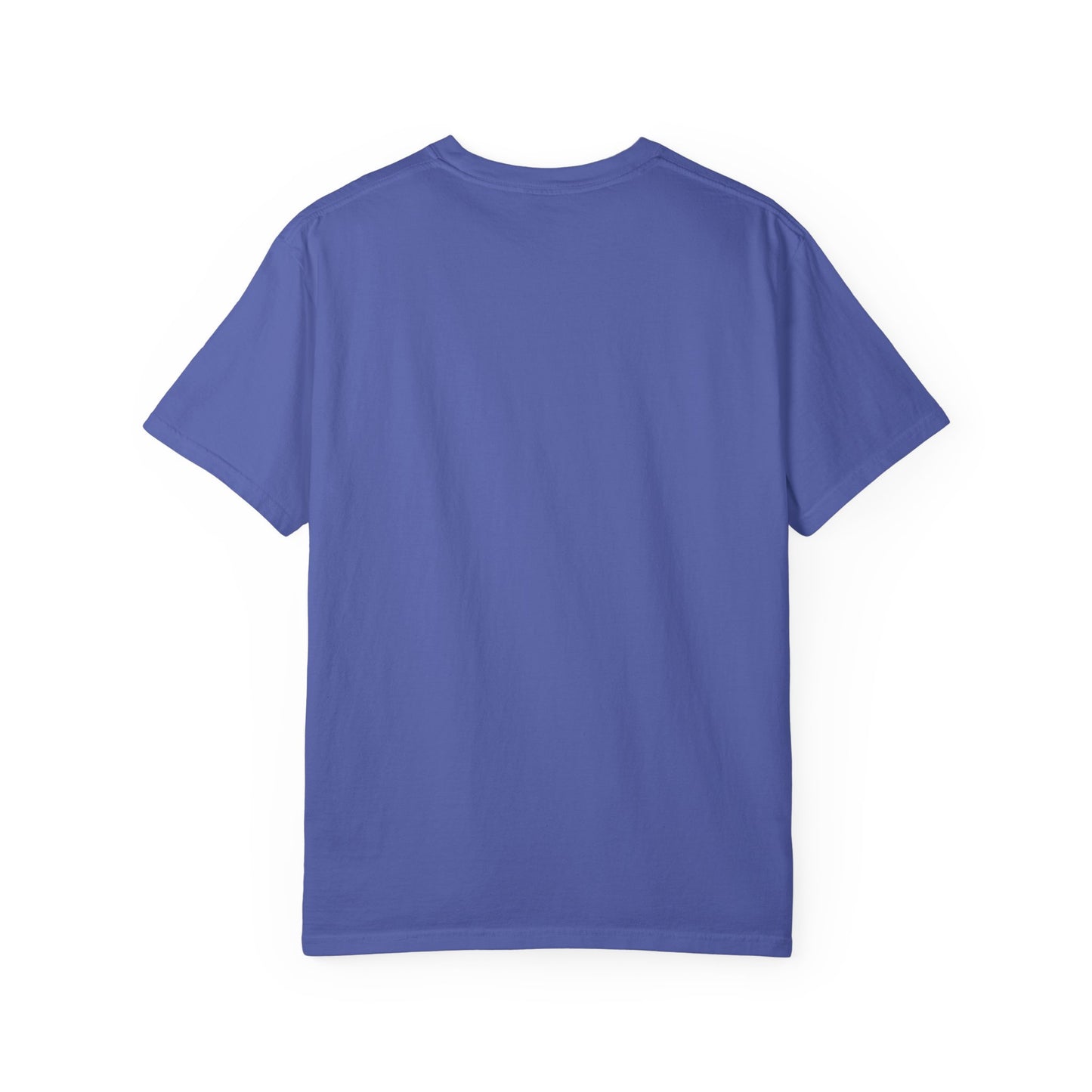 Unbothered Allure: Do Not Disturb Graphic Design Comfort Colors Single Ladies