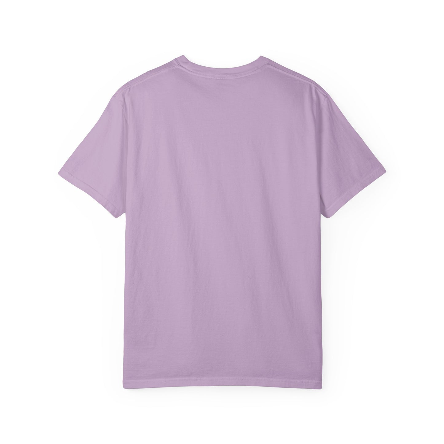 Unbothered Allure: Do Not Disturb Graphic Design Comfort Colors Single Ladies